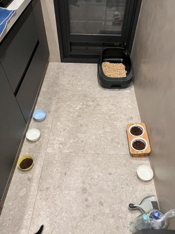 小芯寵物到府服務 - 整潔前後會拍照告知