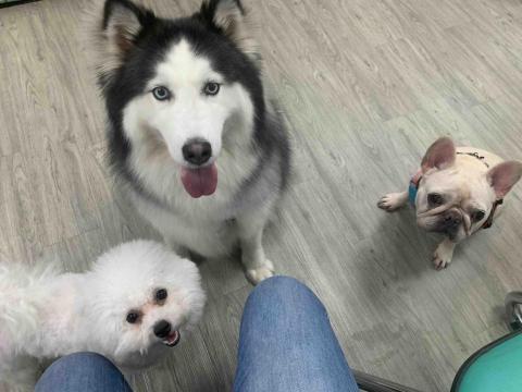 台中❤️快樂寶貝媽咪家 - 新報到～點名、等待
