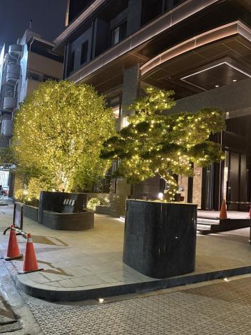 紀經儀 - 社區聖誕燈飾