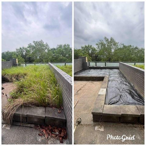 除草特攻隊 - 抑制雜草，未來美化