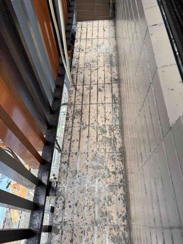 鋮達工程行 - 新建案大樓清洗前