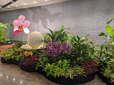 紀經儀 - 植栽綠化造景