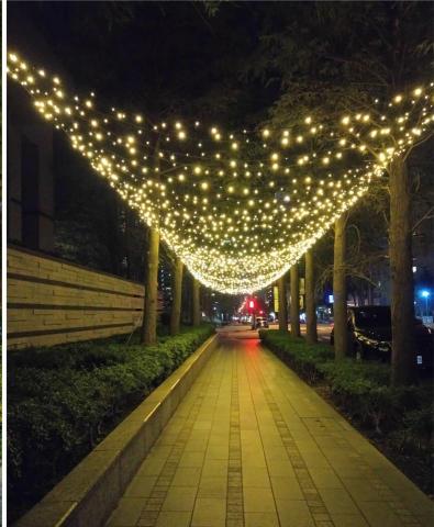 紀經儀 - 行道燈海裝置