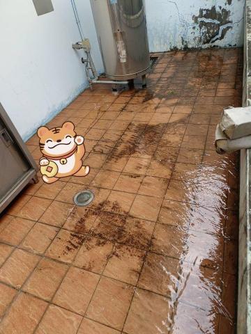 安安個人清潔工作室 - 施工前