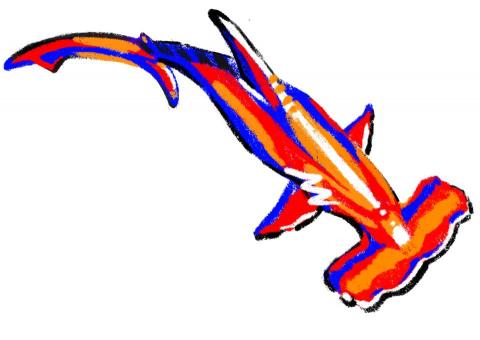 Krys 星 - 蠟筆繪畫教學