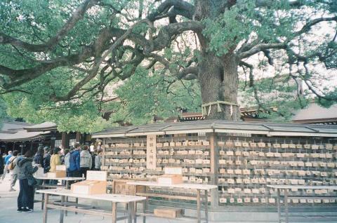 Zooey Liu - 明治神宮