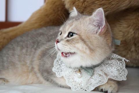 雪倫攝影&middot;雙北女攝 - 