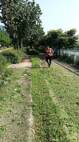 江俊凱，元泰園藝社 - 