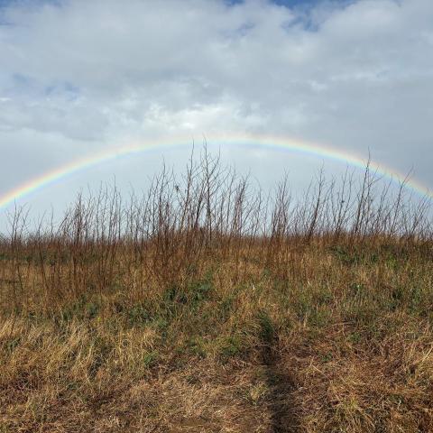 提供48服務的專家許太太