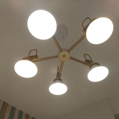 提供面漆服務的專家江咨誼