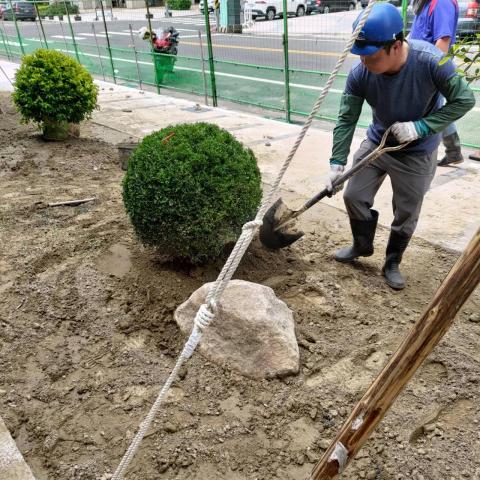 江俊凱，元泰園藝社 - 