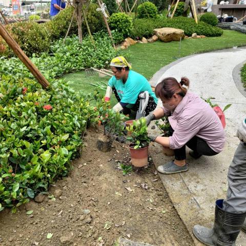 江俊凱，元泰園藝社 - 