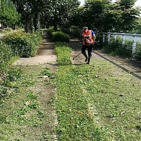 提供粗工服務的專家江俊凱，元泰園藝社