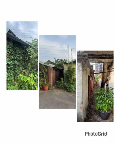 除草特攻隊 - 藤蔓、雜草處理