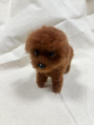 Z creation - 客製化服務毛孩系列