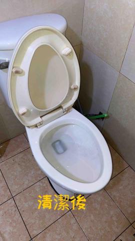 沈鳳珠 - 幫業主省去換馬桶的錢