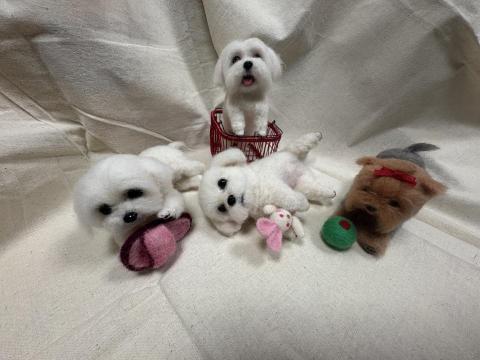 Z creation - 客製化服務毛孩系列