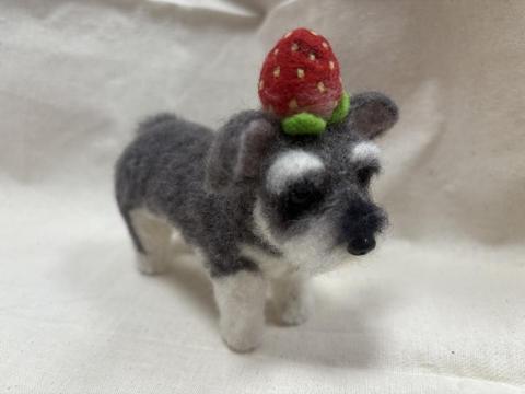 Z creation - 客製化服務毛孩系列