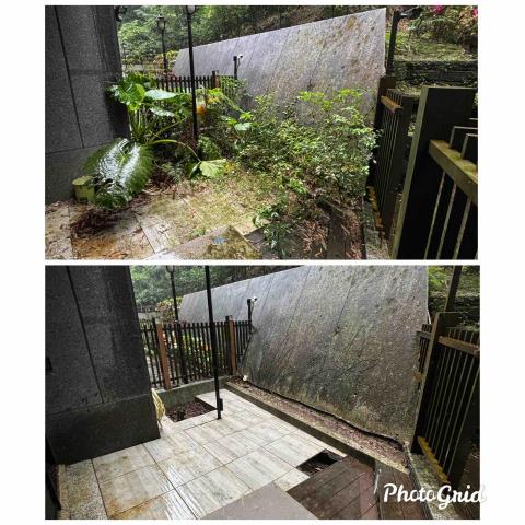 除草特攻隊 - 花園整理