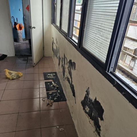 穩妥當抓漏工程行 - 壁癌處理