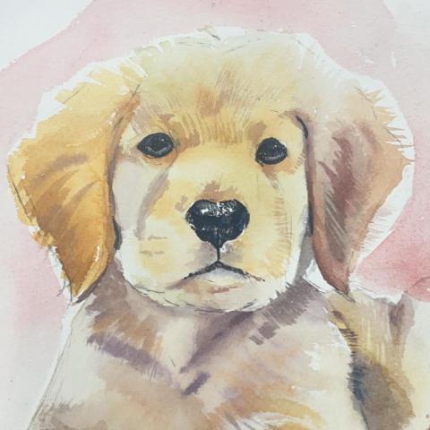 提供兒童美術服務的專家33