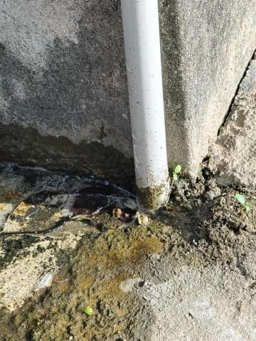 瑋成水電裝修工作室 - 施工前：水管漏水