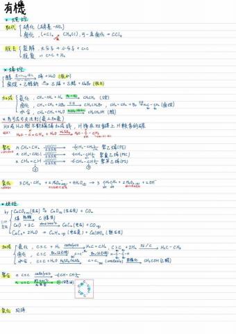 林楷哲 Kenton Lin - 