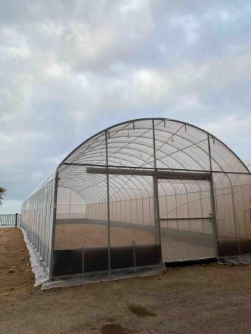 鈨程工程有限公司 - 新北石門簡易溫室