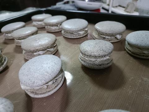 林衣羚 - 馬卡龍