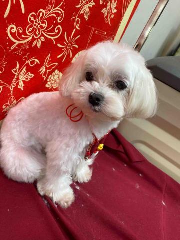 Windy - 瑪爾大美容