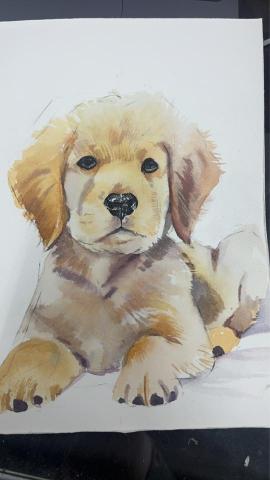 33 - 水彩16k動物插畫