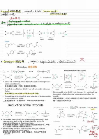 林楷哲 Kenton Lin - 