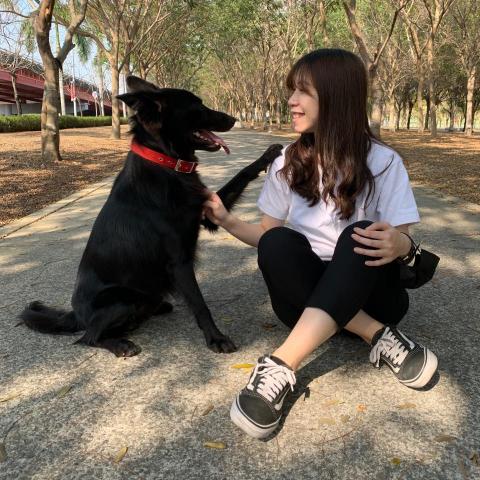 提供交貨便袋服務的專家黃寶瑩