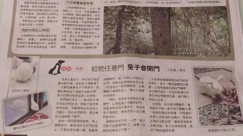 纓香 - 文字：投稿「人間福報」報紙版文稿