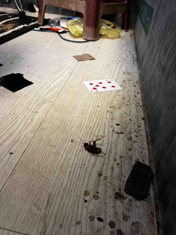 牧迪居家清潔 - 工作室清潔