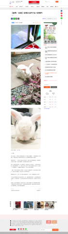 纓香 - 文字：投稿［人間福報］上了電子版