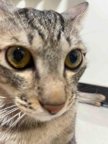 提供收纳挂袋服務的專家徐以恩