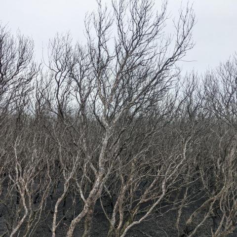 提供髮型服務的專家飛曜羚羊髮型工作室