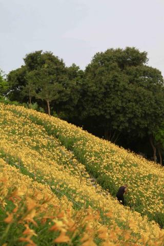 趙笙傑 - 攝影作品