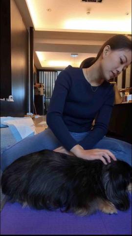 寵物照護師Jessica -  寵物照護師Jessica -