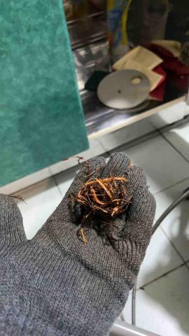 阿陽水管疏通環保工程 - 樹根 阿陽水管疏通環保工程 - 樹根