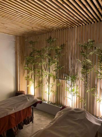 至元國際股份有限公司 - 按摩SPA養身館