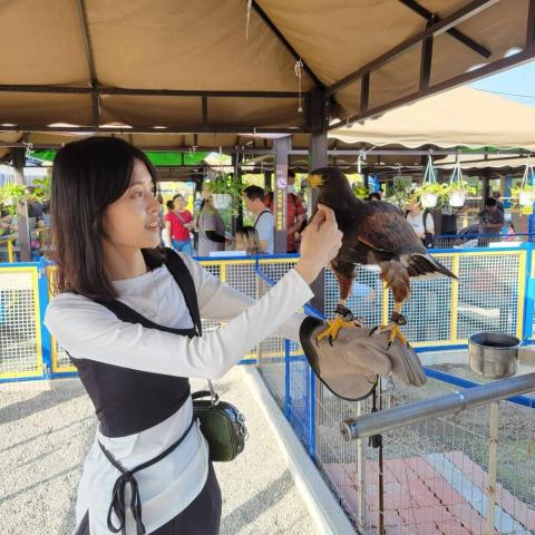 提供edm服務的專家gugu