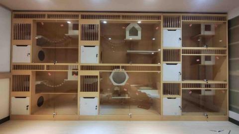 包羅萬象 - 營業場所貓屋組裝