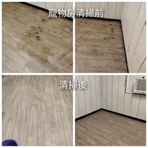 洗洗刷刷（搬家清潔，搬家打包，垃圾屋，裝潢後清，一般打掃） - 寵物住的地方