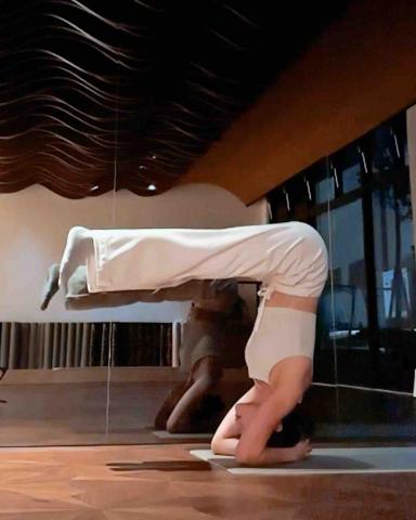 🧘🏻‍♀️ 瑜珈 / 皮拉提斯 / 瑜珈提斯 - 