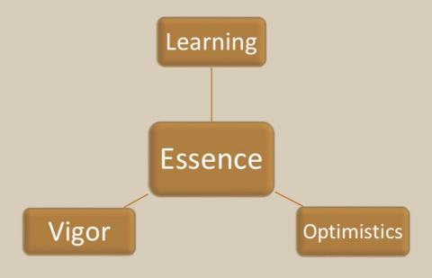 專業家教 - 教學理念