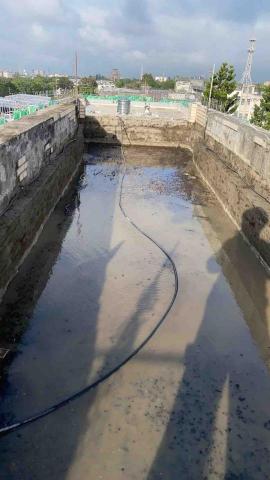 鄭聲銀 - 清洗青苔