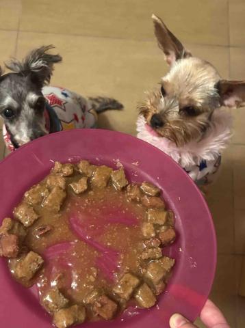 拉拉免費接送寵物寄宿 - 