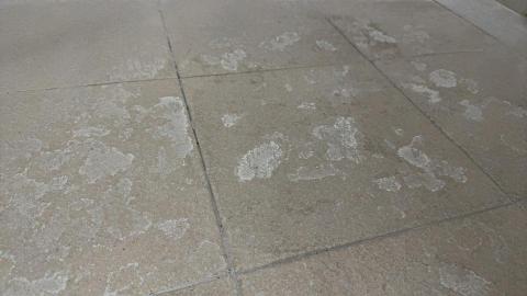 石材美容工程 - 水垢處理前